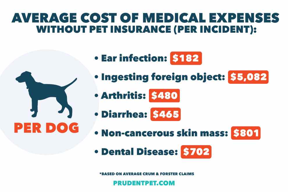This image shows the average cost of medical expenses for dogs without pet insurance, per incident. It displays a silhouette of a dog and lists six common health issues with their associated costs.