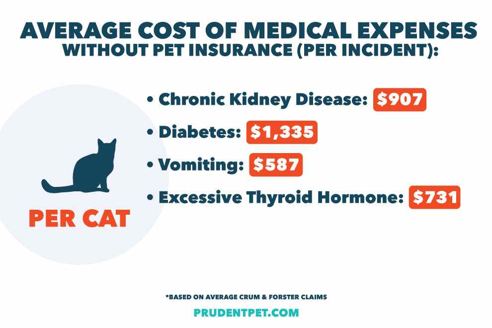 This image shows the average cost of medical expenses for cats without pet insurance, per incident.